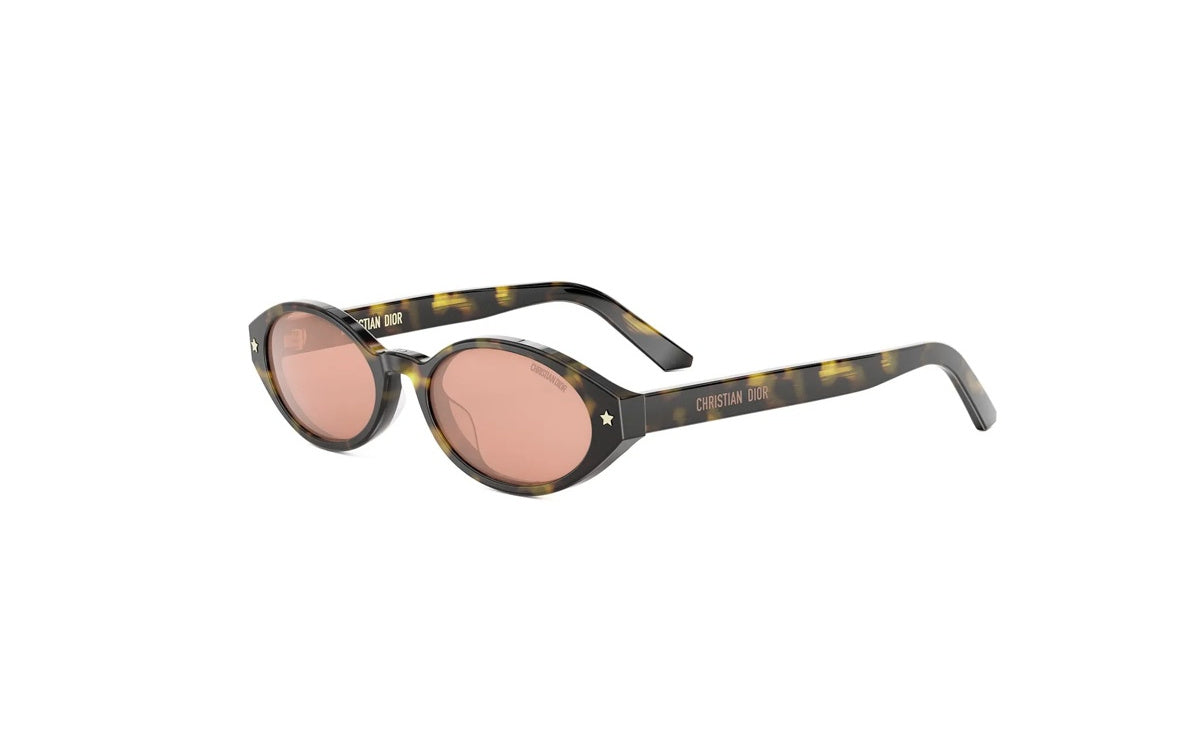 DIOR DiorPacific R1I 20L0